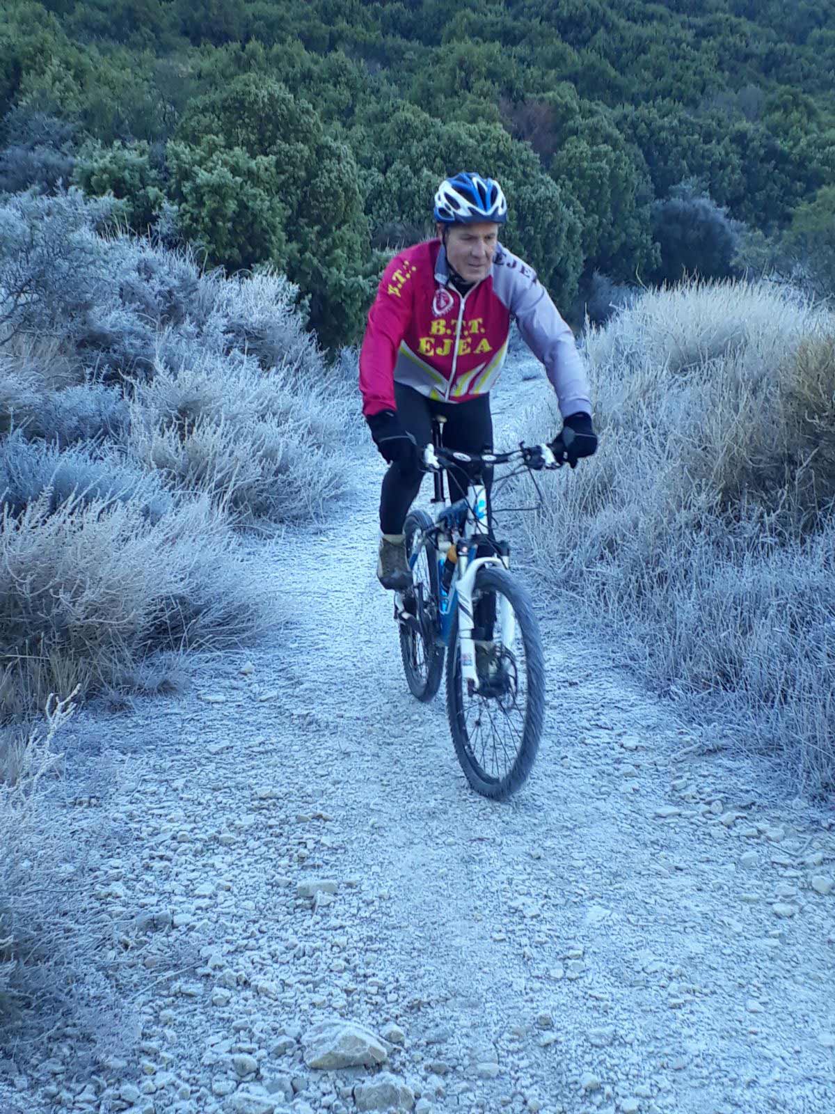bardena bicci